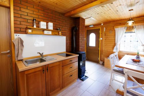 a kitchen with a sink and a stove in a cabin at Počitniška hiša ErOs in Bohinj