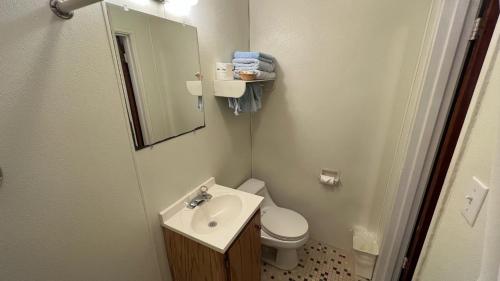 a bathroom with a sink and a toilet and a mirror at Four Oaks Lodging in Smithfield