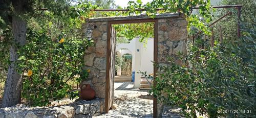 Un jardín fuera de Olive Garden