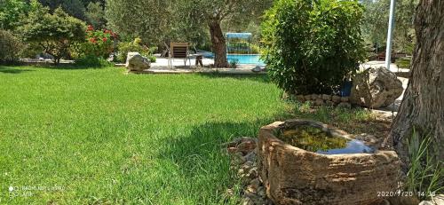 une cour avec un arbre et un étang dans l'herbe dans l'établissement Olive Garden, à Lapta