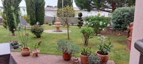 Κήπος έξω από το Ferienwohnung Zum Weinberg