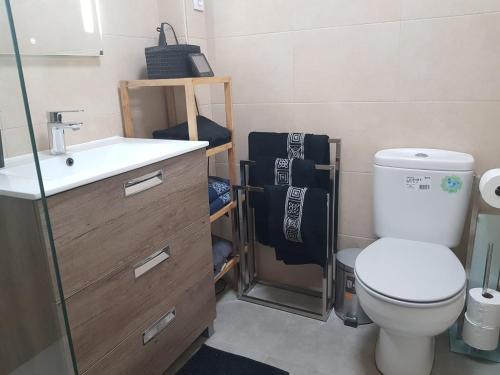 La salle de bains est pourvue de toilettes et d'un lavabo. dans l'établissement La casa de Gonso, à Mogro