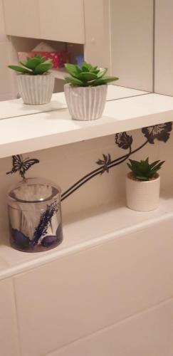 Apartman Aura