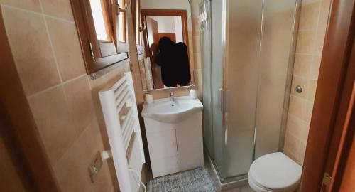 W łazience znajduje się toaleta, umywalka i prysznic. w obiekcie Appartamento Stela w mieście Calasetta