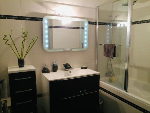 a bathroom with a sink and a mirror and a shower at Magnifique appartement proche mer in Villefranche-sur-Mer