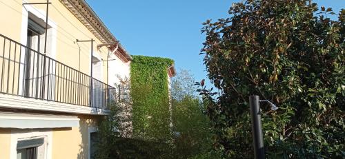 ein mit Efeu bedecktes Gebäude neben einem Gebäude mit einem Baum in der Unterkunft Les chambres du magnolia in Canet