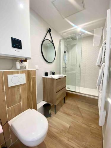 une salle de bain avec toilettes, lavabo et miroir dans l'établissement Studio design au centre de Reims, à Reims