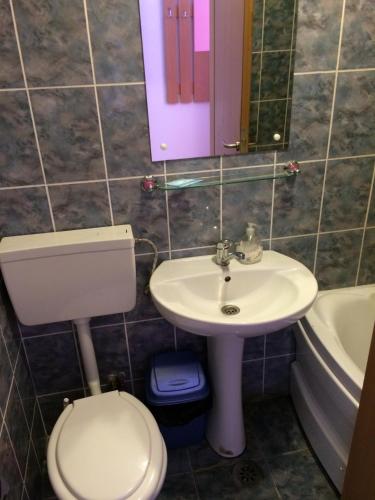 a bathroom with a toilet and a sink and a mirror at Pensiunea Simina in Caransebeş