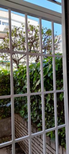 a window with a view of a bush seen through it at El Colmenar Hospedaje in Madrid