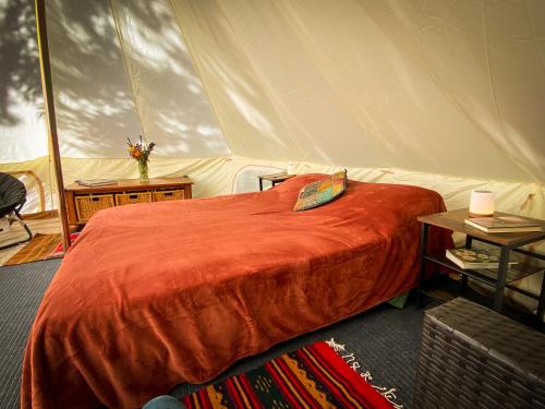 a bedroom with a bed in a tent at Glamping in the Redwoods in Garberville