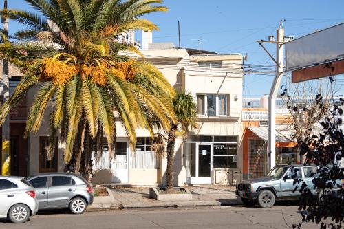 a palm tree on the side of a city street at Hotel Provincia in Trelew