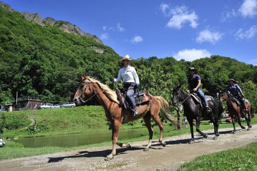 アパートメントの敷地内または近くで楽しめる乗馬