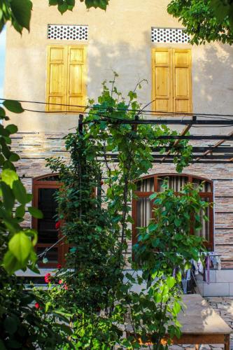 Zahrada ubytování Riad Nur & Tours