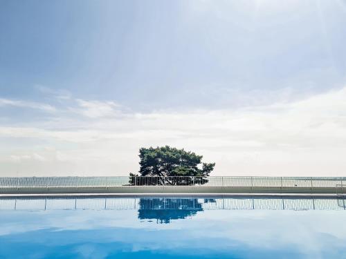 a tree sitting next to a pool of water at Apartment 1007 Rogowo Pearl in Mrzeżyno