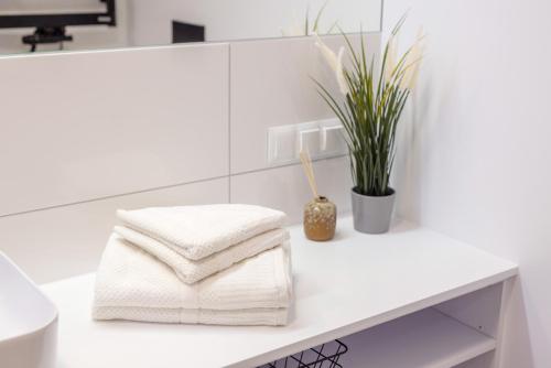 a white bathroom with towels and a plant on a counter at Inny Klimat in Rowy