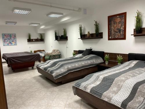Habitación con 3 camas y plantas en la pared en Budapest Wigwam 140 m2, en Budapest