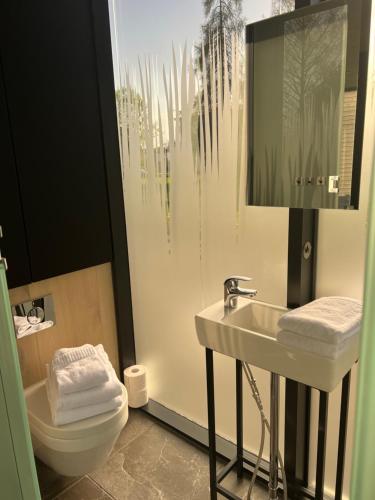 łazienka z umywalką i toaletą w obiekcie Natur Pur & Erlebnisurlaub im Spiegelhaus ÖÖD w mieście Lauterach