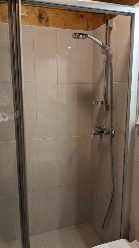 a shower with a glass door in a bathroom at Aussersalfner Hütte in Schenna