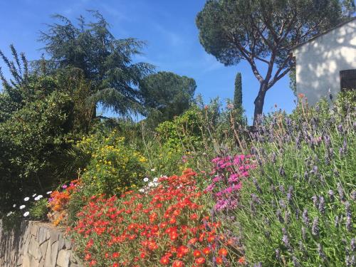 Maison d'hôtes naturiste Villa PaulAna photo 19