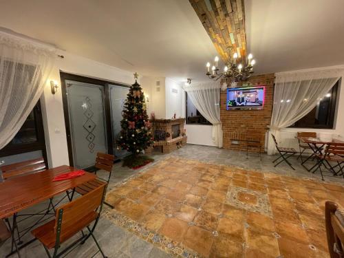 红湖Casa Bicăjeanului - Lacu Roșu的客厅里有一棵圣诞树和一台电视