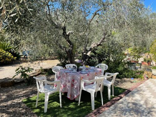 une table avec des chaises blanches, une table et un arbre dans l'établissement Apartment Olivo - PGI128 by Interhome, à Poggi