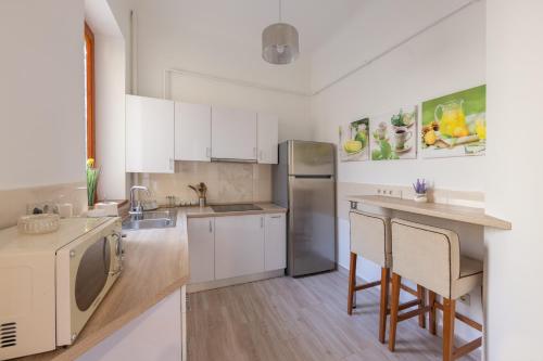 Cuisine ou kitchenette dans l'établissement Corvin Residence