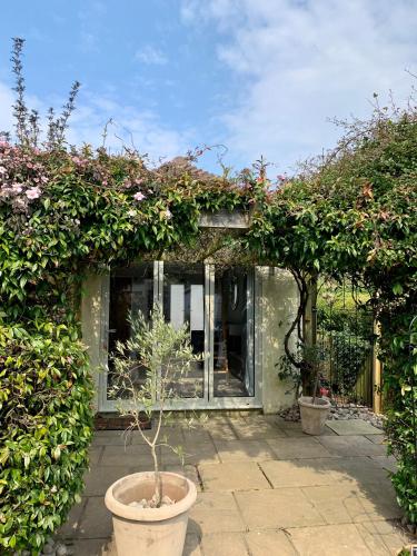 a house with a potted plant in a garden at The Nest in Sway