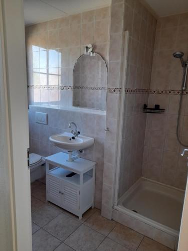 W łazience znajduje się umywalka, prysznic i toaleta. w obiekcie Appartement Kooiker w mieście Buren