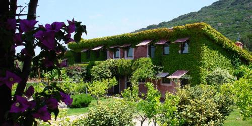 a building covered in ivy with purple flowers on it at L'Isola Di Rosa - Relais & Hotel di Charme in Cerveteri