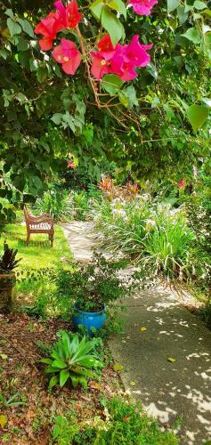 Jardín al aire libre en Babinda Quarters