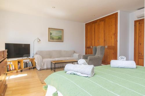 a living room with a bed and a couch and a tv at Els Àngels in Ses Salines