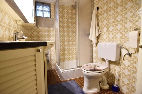 a bathroom with a toilet and a shower and a sink at Souterrain apartment in Wesseling in Wesseling