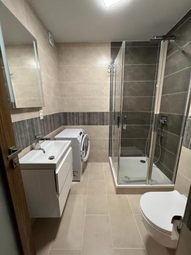 W łazience znajduje się umywalka z prysznicem i toaleta. w obiekcie Apartman Centrum 402 w Uściu nad Łabą