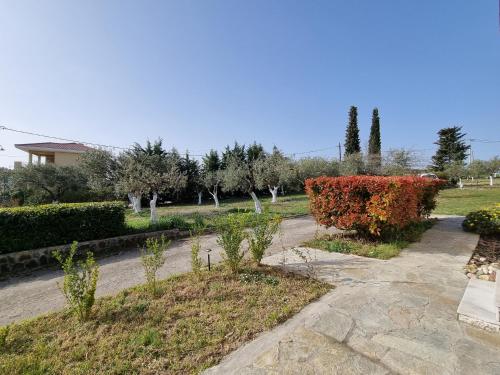 un jardin avec des arbres et des buissons et une route dans l'établissement Alivia Garden, à Paliouri