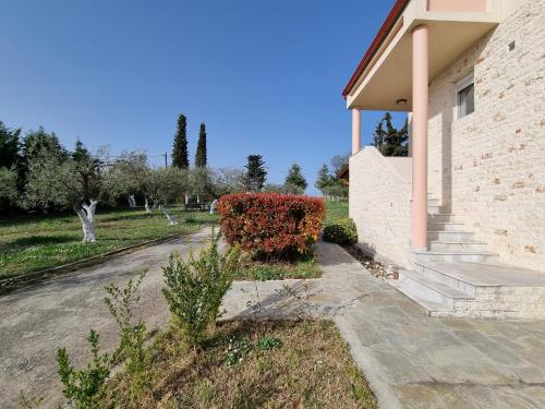 Κήπος έξω από το Alivia Garden