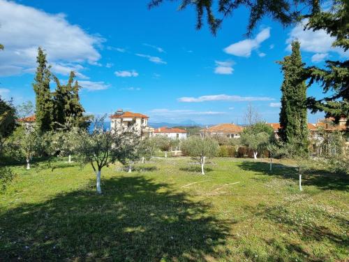 Κήπος έξω από το Alivia Garden