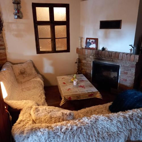 a living room with a couch and a fireplace at Penzion Alžbetka in Poprad