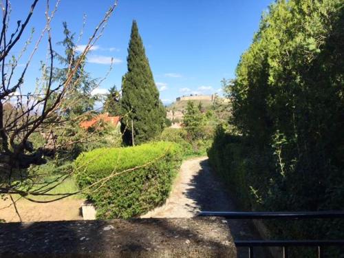 un chemin traversant un jardin avec des arbres et des buissons dans l'établissement Maison de 4 chambres avec vue sur la ville et jardin clos a Villeneuve les Avignon, à Villeneuve-lès-Avignon