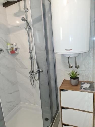 Et badeværelse på Apartments Pinezić