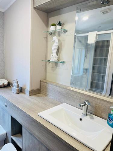 a bathroom counter with a sink and a mirror at Sunbird Lodge with Hot Tub in York