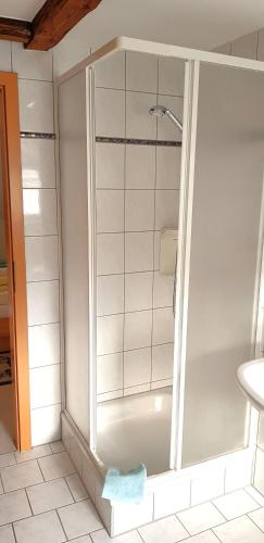 a shower with a glass door in a bathroom at Villa Hoffnung in Bad Elster
