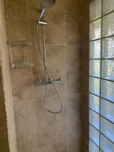 a shower with a shower head in a bathroom at CHAMBRE D’HÔTE CHARLAMBIAS in Vallabrègues