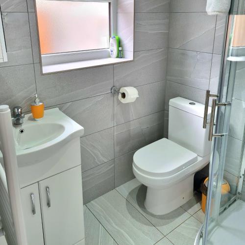 a bathroom with a toilet and a sink and a mirror at Lovely central studio/2bed - 5min to train station in Slough