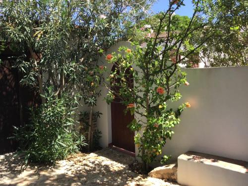 a fence with a door and some trees and flowers at Villa Dacla in Lampedusa