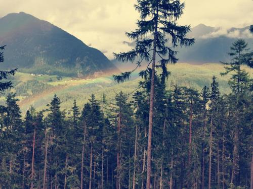 a group of trees in front of a mountain at Das K - dei "Hoamatl" im Ötztal in Oetz