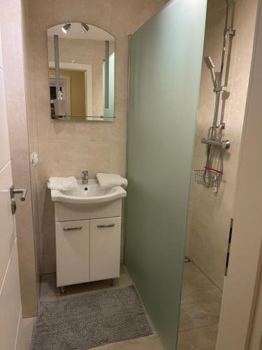 a bathroom with a sink and a mirror at Ferienwohnung Bartenwetzerbrücke in Melsungen