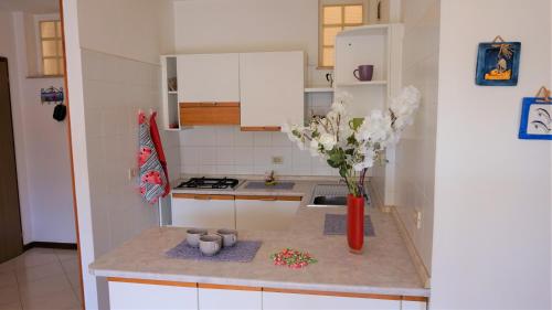 une petite cuisine avec un vase de fleurs sur un comptoir dans l'établissement Residence Cristallo, à Lignano Sabbiadoro