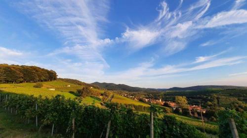 Gallery image of Neben-Charlie in Neuenburg am Rhein