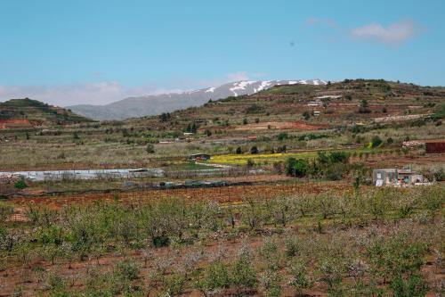 a train in a field with mountains in the background at Grand Golan in Buq‘ātā