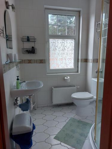 a bathroom with a sink and a toilet and a window at Willa Secesja in Łeba